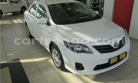 Buy Used Toyota Corolla White Car in Ezulwini in Hhohho Buy Used Toyota Corolla White Car in Ezulwini in Hhohho
