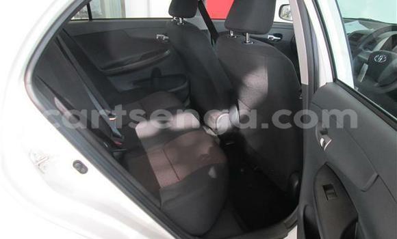 Buy Used Toyota Corolla White Car in Ezulwini in Hhohho Buy Used Toyota Corolla White Car in Ezulwini in Hhohho