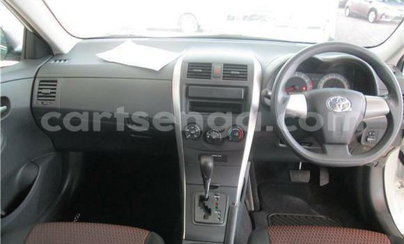 Buy Used Toyota Corolla White Car in Ezulwini in Hhohho Buy Used Toyota Corolla White Car in Ezulwini in Hhohho