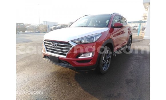 Buy Import Hyundai Tucson Red Car in Import - Dubai in Hhohho Buy Import Hyundai Tucson Red Car in Import - Dubai in Hhohho