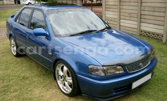 Buy Used Toyota Corolla Blue Car in Ezulwini in Hhohho Buy Used Toyota Corolla Blue Car in Ezulwini in Hhohho