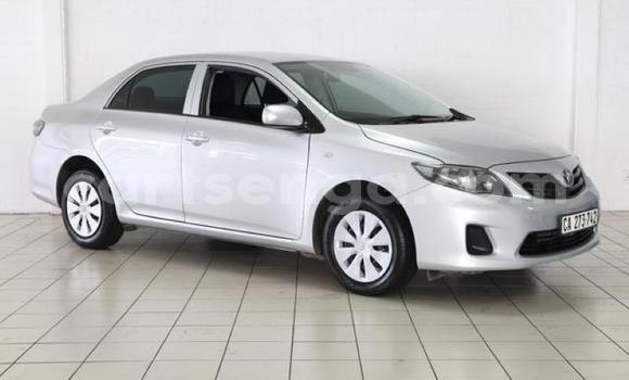 Acheter Occasion Voiture Toyota Corolla Gris à Mbabane, Manzini Acheter Occasion Voiture Toyota Corolla Gris à Mbabane, Manzini