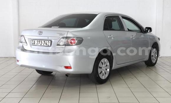Acheter Occasion Voiture Toyota Corolla Gris à Mbabane, Manzini Acheter Occasion Voiture Toyota Corolla Gris à Mbabane, Manzini