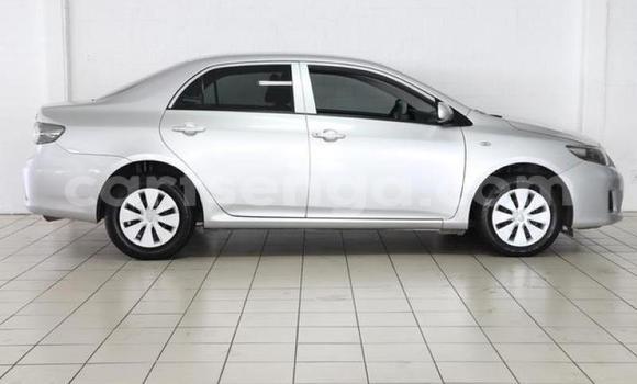 Acheter Occasion Voiture Toyota Corolla Gris à Mbabane, Manzini Acheter Occasion Voiture Toyota Corolla Gris à Mbabane, Manzini