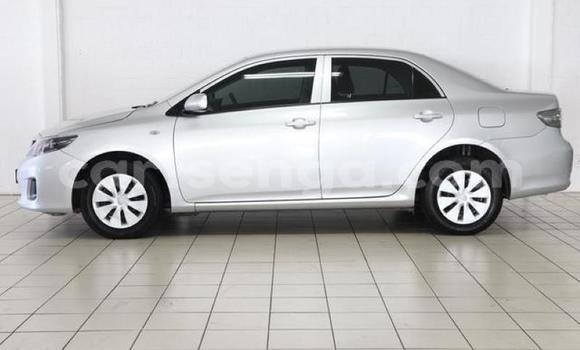 Acheter Occasion Voiture Toyota Corolla Gris à Mbabane, Manzini Acheter Occasion Voiture Toyota Corolla Gris à Mbabane, Manzini