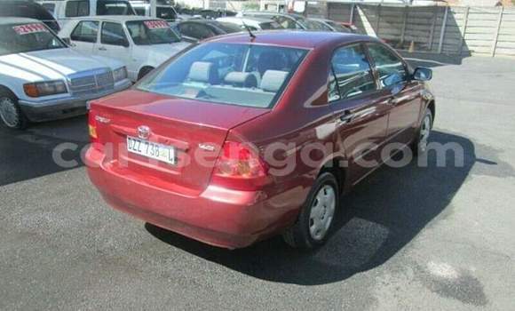 Buy Used Toyota Corolla Red Car in Ezulwini in Hhohho Buy Used Toyota Corolla Red Car in Ezulwini in Hhohho