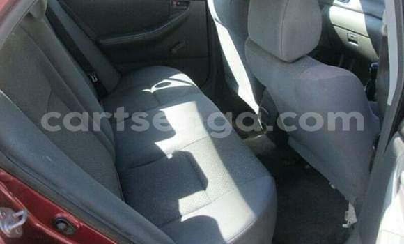 Buy Used Toyota Corolla Red Car in Ezulwini in Hhohho Buy Used Toyota Corolla Red Car in Ezulwini in Hhohho