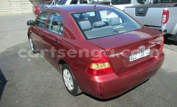 Buy Used Toyota Corolla Red Car in Ezulwini in Hhohho Buy Used Toyota Corolla Red Car in Ezulwini in Hhohho