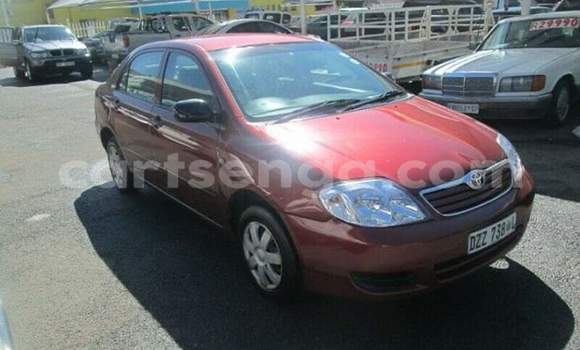 Buy Used Toyota Corolla Red Car in Ezulwini in Hhohho Buy Used Toyota Corolla Red Car in Ezulwini in Hhohho