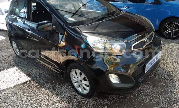 Buy Used Kia Picanto Black Car in Bulembu in Hhohho Buy Used Kia Picanto Black Car in Bulembu in Hhohho