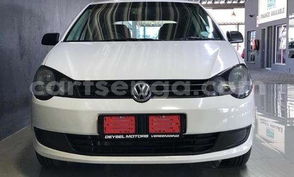 Nunua Ilio tumika Volkswagen Polo White Gari ndani ya Big Bend nchini Wilaya ya Lubombo Nunua Ilio tumika Volkswagen Polo White Gari ndani ya Big Bend nchini Wilaya ya Lubombo