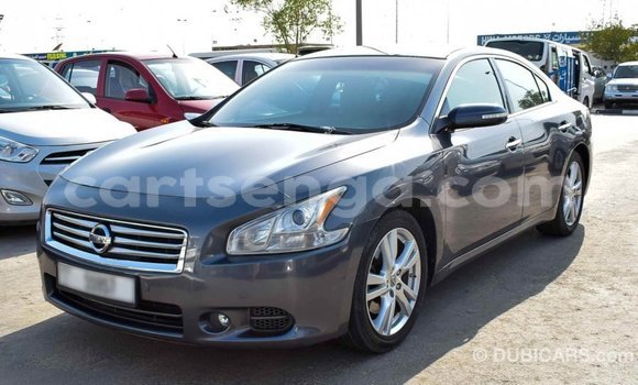 Buy Import Nissan Maxima Other Car in Import - Dubai in Hhohho Buy Import Nissan Maxima Other Car in Import - Dubai in Hhohho