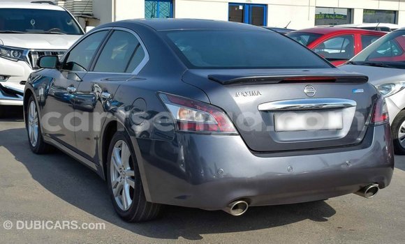 Buy Import Nissan Maxima Other Car in Import - Dubai in Hhohho Buy Import Nissan Maxima Other Car in Import - Dubai in Hhohho