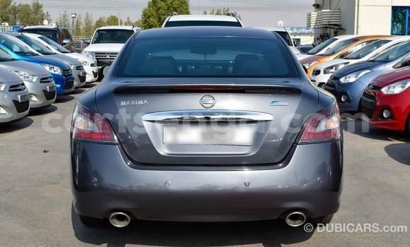 Buy Import Nissan Maxima Other Car in Import - Dubai in Hhohho Buy Import Nissan Maxima Other Car in Import - Dubai in Hhohho