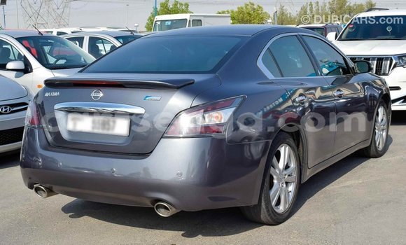 Buy Import Nissan Maxima Other Car in Import - Dubai in Hhohho Buy Import Nissan Maxima Other Car in Import - Dubai in Hhohho