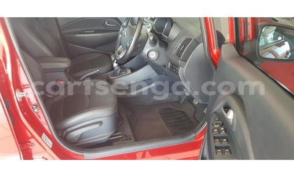 Buy Used Kia Rio Red Car in Bhunya in Manzini Buy Used Kia Rio Red Car in Bhunya in Manzini