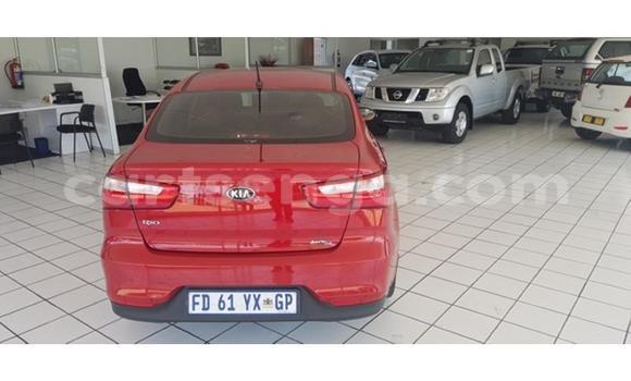 Buy Used Kia Rio Red Car in Bhunya in Manzini Buy Used Kia Rio Red Car in Bhunya in Manzini