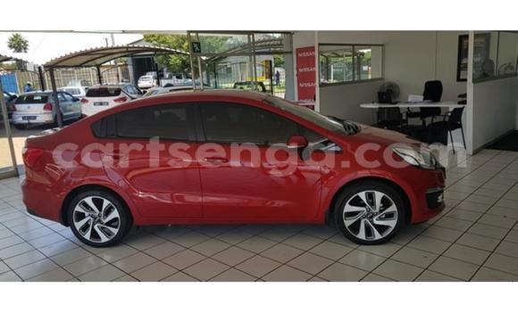 Buy Used Kia Rio Red Car in Bhunya in Manzini Buy Used Kia Rio Red Car in Bhunya in Manzini