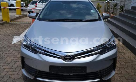 Acheter Occasion Voiture Toyota Corolla Gris à Bhunya, Manzini Acheter Occasion Voiture Toyota Corolla Gris à Bhunya, Manzini