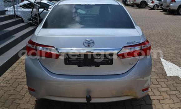 Acheter Occasion Voiture Toyota Corolla Gris à Bhunya, Manzini Acheter Occasion Voiture Toyota Corolla Gris à Bhunya, Manzini