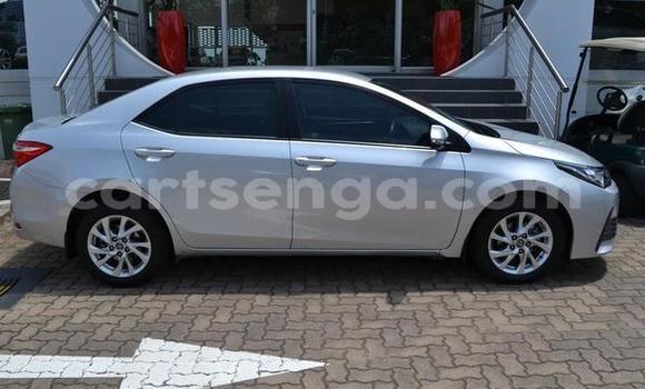 Acheter Occasion Voiture Toyota Corolla Gris à Bhunya, Manzini Acheter Occasion Voiture Toyota Corolla Gris à Bhunya, Manzini