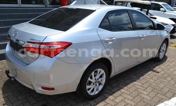 Acheter Occasion Voiture Toyota Corolla Gris à Bhunya, Manzini Acheter Occasion Voiture Toyota Corolla Gris à Bhunya, Manzini