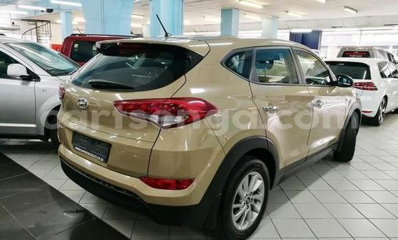 Acheter Occasion Voiture Hyundai Accent Marron à Bhunya, Manzini Acheter Occasion Voiture Hyundai Accent Marron à Bhunya, Manzini