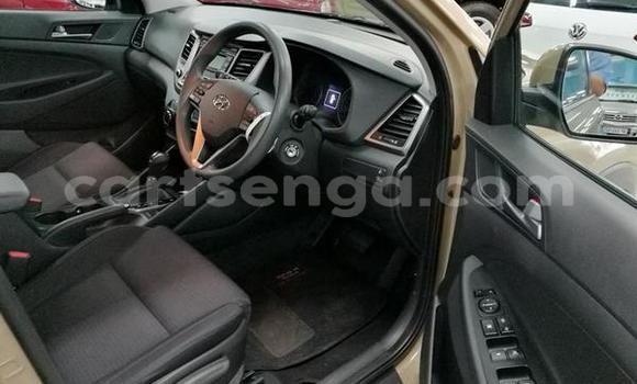 Acheter Occasion Voiture Hyundai Accent Marron à Bhunya, Manzini Acheter Occasion Voiture Hyundai Accent Marron à Bhunya, Manzini