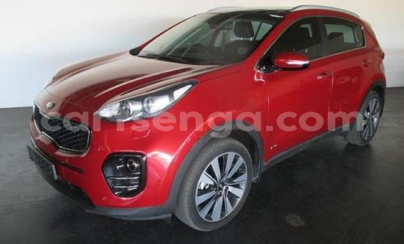 Buy Used Kia Sportage Red Car in Bulembu in Hhohho Buy Used Kia Sportage Red Car in Bulembu in Hhohho