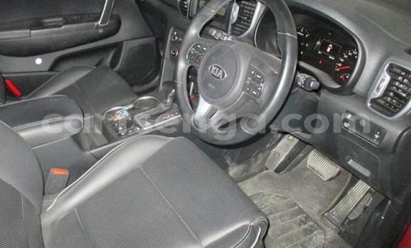 Buy Used Kia Sportage Red Car in Bulembu in Hhohho Buy Used Kia Sportage Red Car in Bulembu in Hhohho