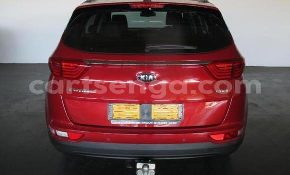 Buy Used Kia Sportage Red Car in Bulembu in Hhohho Buy Used Kia Sportage Red Car in Bulembu in Hhohho