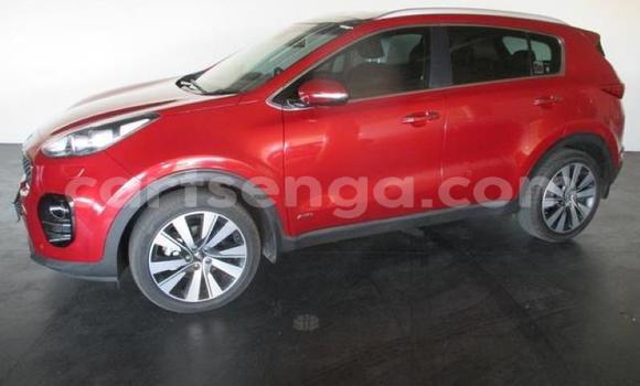 Buy Used Kia Sportage Red Car in Bulembu in Hhohho Buy Used Kia Sportage Red Car in Bulembu in Hhohho
