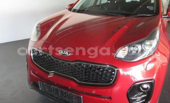 Buy Used Kia Sportage Red Car in Bulembu in Hhohho Buy Used Kia Sportage Red Car in Bulembu in Hhohho