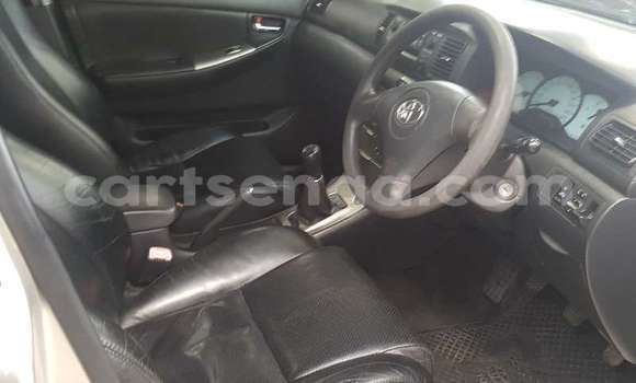 Buy Used Toyota Runx Silver Car in Ezulwini in Hhohho Buy Used Toyota Runx Silver Car in Ezulwini in Hhohho