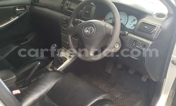 Buy Used Toyota Runx Silver Car in Ezulwini in Hhohho Buy Used Toyota Runx Silver Car in Ezulwini in Hhohho