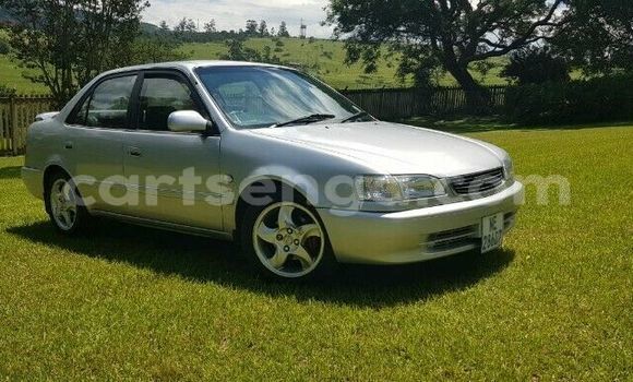 Buy Used Toyota Corolla Silver Car in Ezulwini in Hhohho Buy Used Toyota Corolla Silver Car in Ezulwini in Hhohho