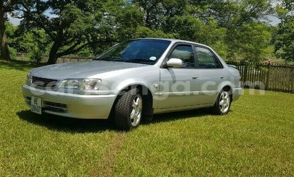 Buy Used Toyota Corolla Silver Car in Ezulwini in Hhohho Buy Used Toyota Corolla Silver Car in Ezulwini in Hhohho