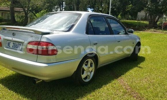 Buy Used Toyota Corolla Silver Car in Ezulwini in Hhohho Buy Used Toyota Corolla Silver Car in Ezulwini in Hhohho
