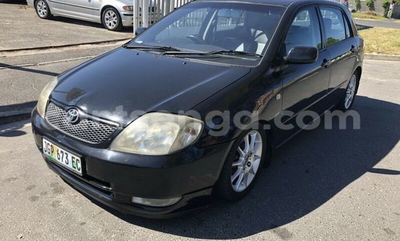 Buy Used Toyota Runx Black Car in Ezulwini in Hhohho Buy Used Toyota Runx Black Car in Ezulwini in Hhohho