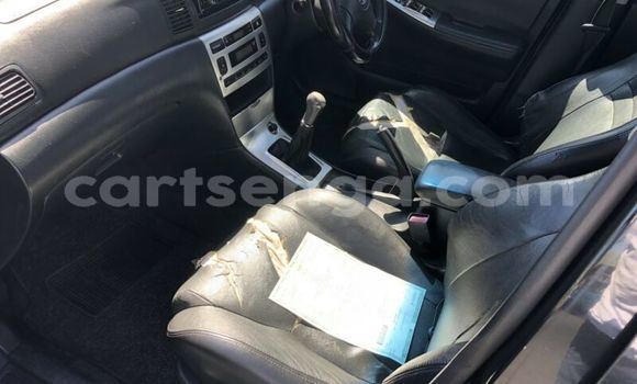 Buy Used Toyota Runx Black Car in Ezulwini in Hhohho Buy Used Toyota Runx Black Car in Ezulwini in Hhohho