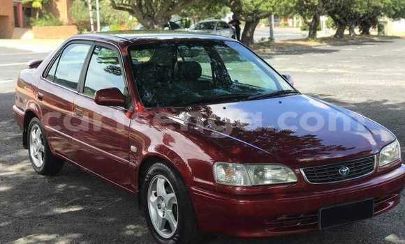 Nunua Ilio tumika Toyota Corolla Red Gari ndani ya Bhunya nchini Manzini Nunua Ilio tumika Toyota Corolla Red Gari ndani ya Bhunya nchini Manzini