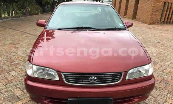 Nunua Ilio tumika Toyota Corolla Red Gari ndani ya Bhunya nchini Manzini Nunua Ilio tumika Toyota Corolla Red Gari ndani ya Bhunya nchini Manzini