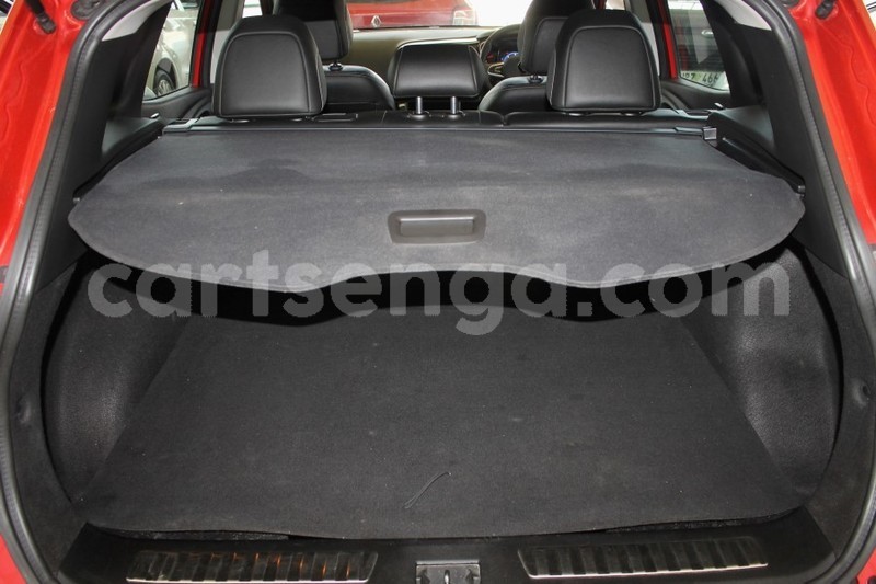 Big with watermark 11