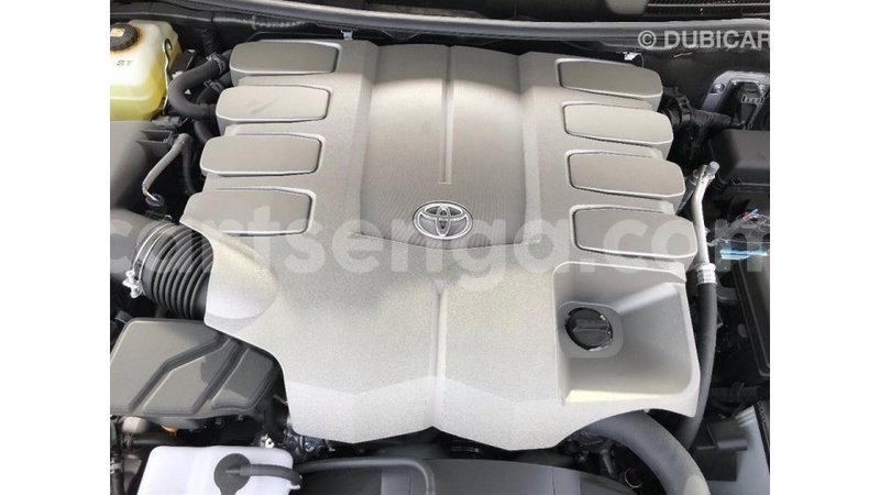 Big with watermark 1432a4f8 5b66 4bc4 b4d9 b62486c4e151