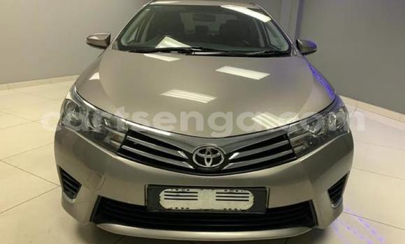 Acheter Occasion Voiture Toyota Corolla Autre à Hlatikulu, Shiselweni District Acheter Occasion Voiture Toyota Corolla Autre à Hlatikulu, Shiselweni District