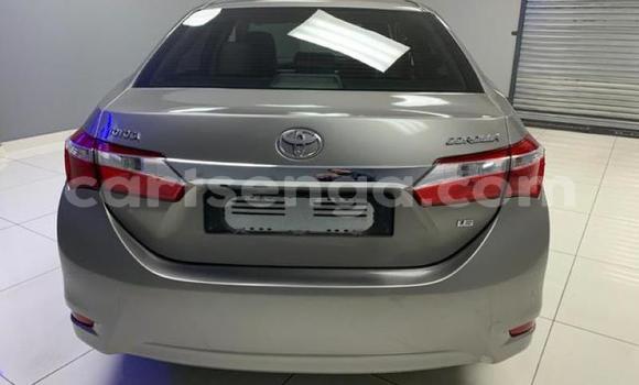 Acheter Occasion Voiture Toyota Corolla Autre à Hlatikulu, Shiselweni District Acheter Occasion Voiture Toyota Corolla Autre à Hlatikulu, Shiselweni District