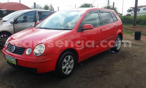 Buy Used Volkswagen Polo Red Car in Manzini in Swaziland Buy Used Volkswagen Polo Red Car in Manzini in Swaziland