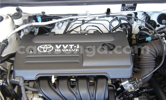 Buy Used Toyota Runx White Car in Ezulwini in Hhohho Buy Used Toyota Runx White Car in Ezulwini in Hhohho