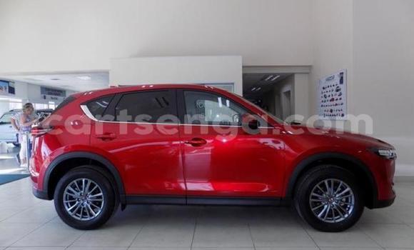Buy Used Mazda CX-5 Red Car in Ezulwini in Hhohho Buy Used Mazda CX-5 Red Car in Ezulwini in Hhohho