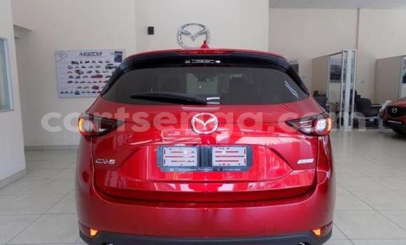 Buy Used Mazda CX-5 Red Car in Ezulwini in Hhohho Buy Used Mazda CX-5 Red Car in Ezulwini in Hhohho